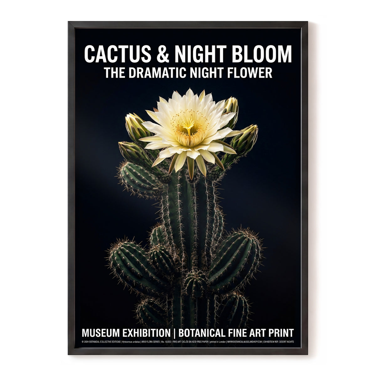 Midnight Cactus Bloom, black, green, white floral wall art, front artwork view