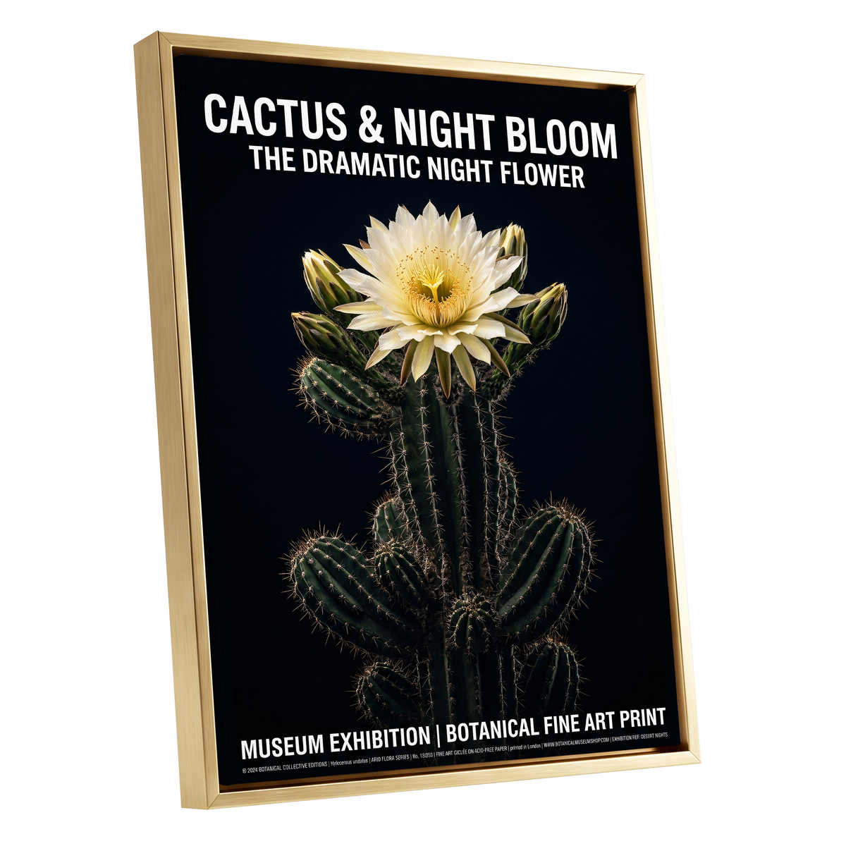 Midnight Cactus Bloom, black, green, white floral wall art shown as a gold framed canvas wall art