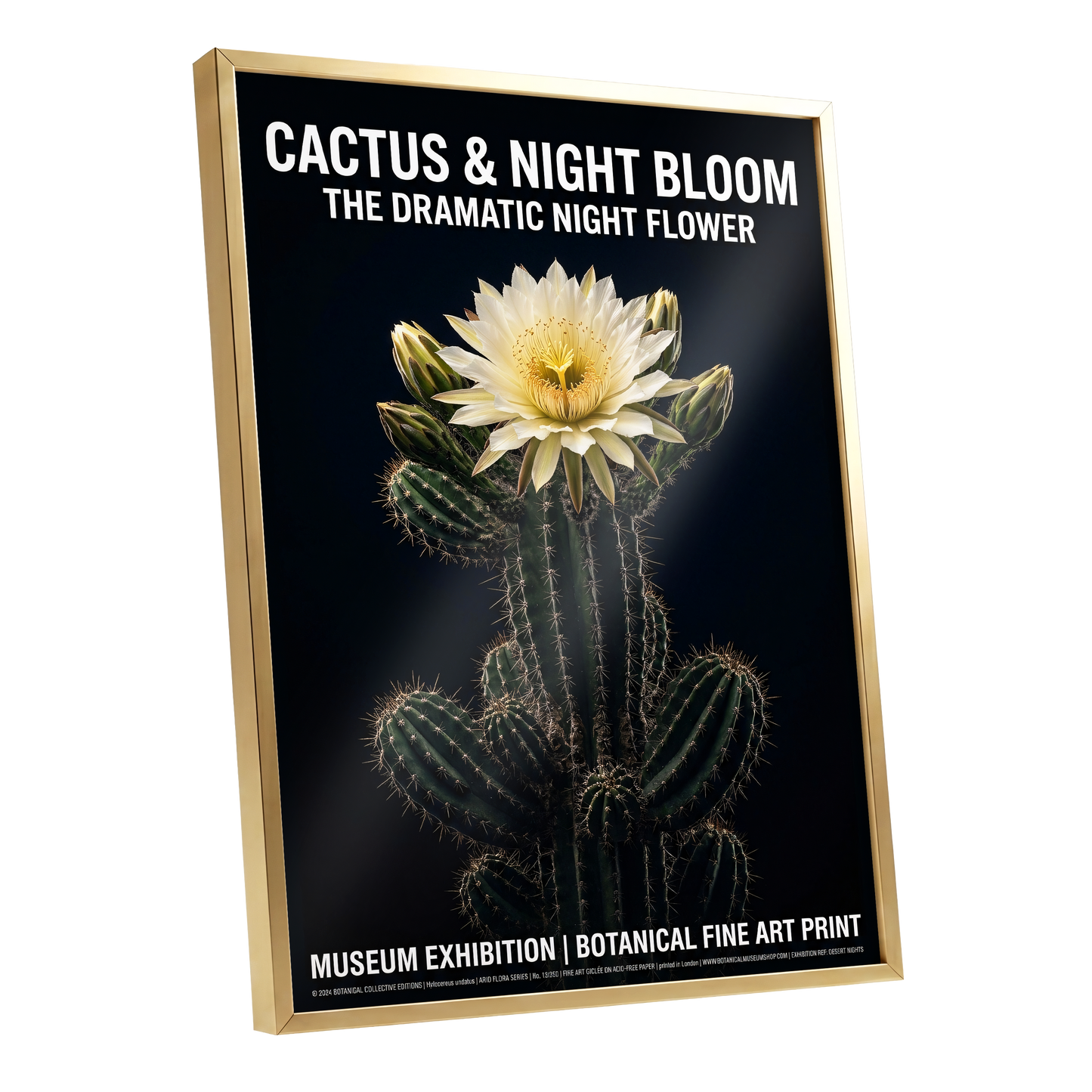 Midnight Cactus Bloom, black, green, white floral wall art shown as a gold framed poster wall art print