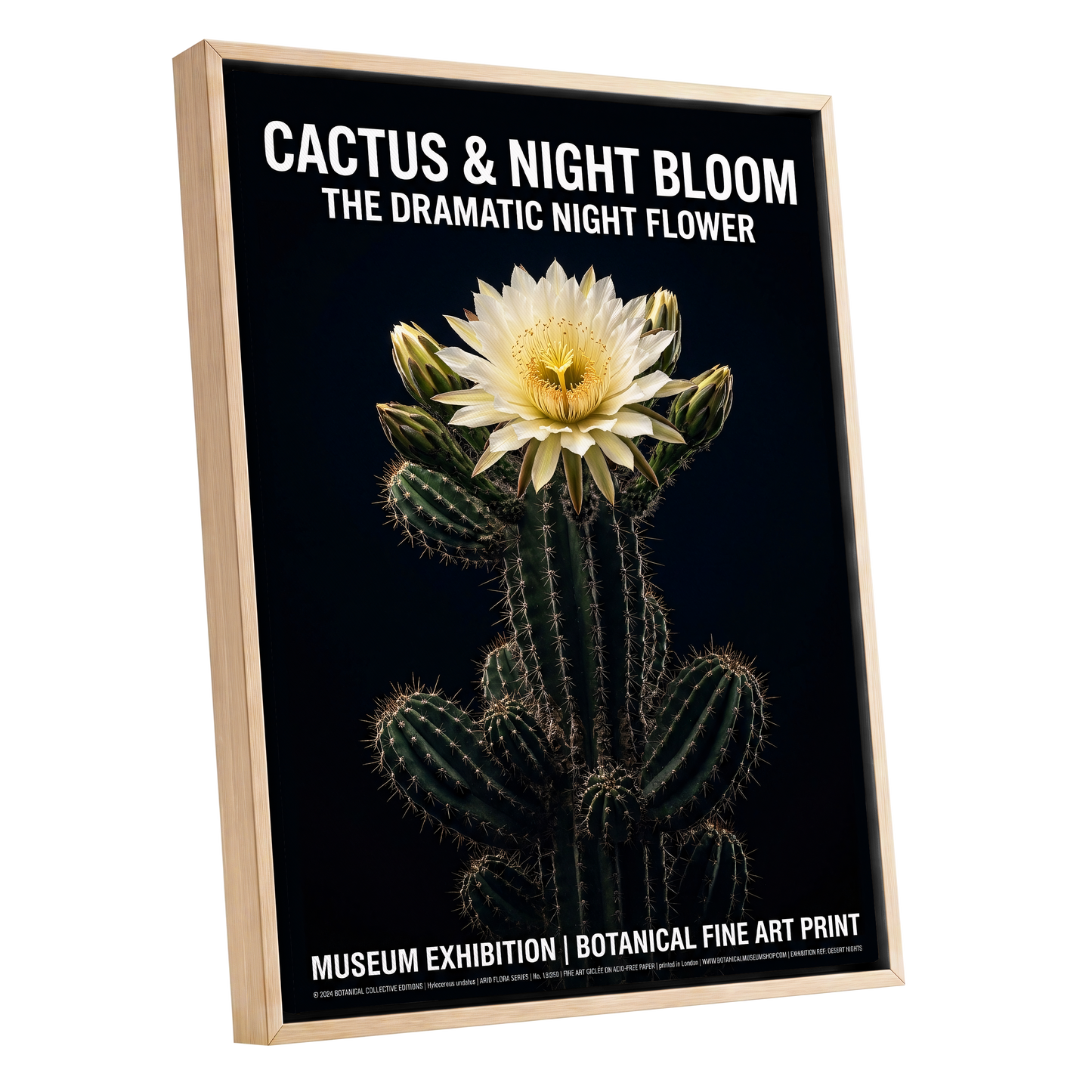 Midnight Cactus Bloom, black, green, white floral wall art shown as a oak framed canvas wall art