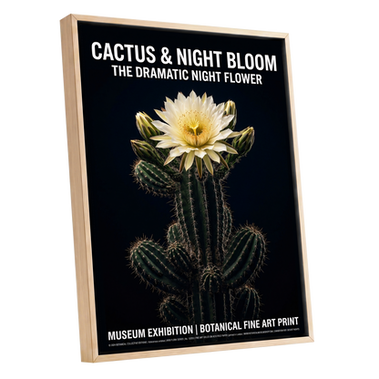 Midnight Cactus Bloom, black, green, white floral wall art shown as a oak framed canvas wall art