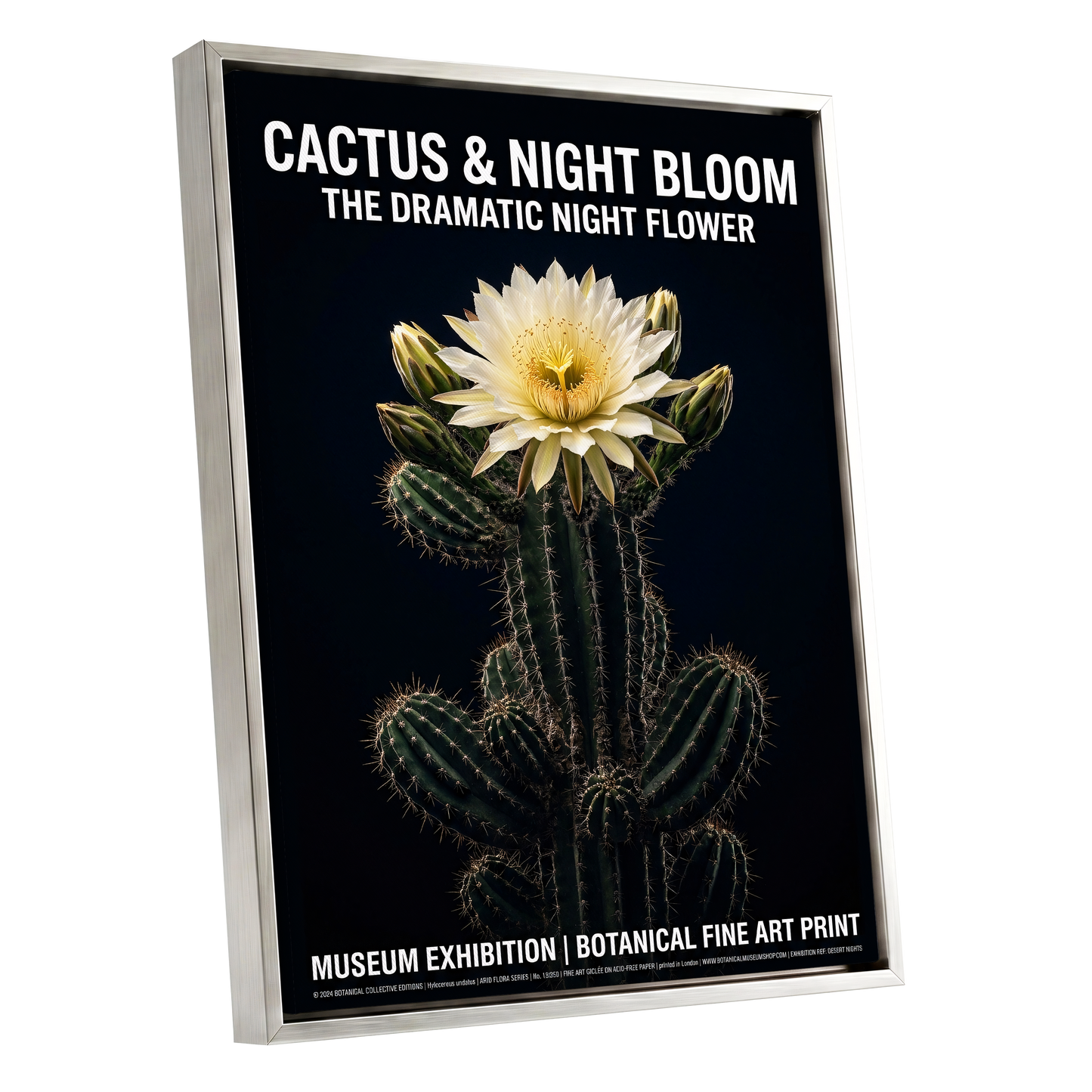 Midnight Cactus Bloom, black, green, white floral wall art shown as a silver framed canvas wall art