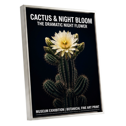 Midnight Cactus Bloom, black, green, white floral wall art shown as a silver framed canvas wall art