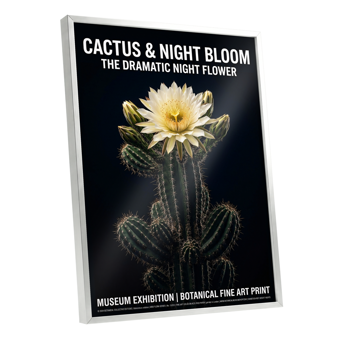 Midnight Cactus Bloom, black, green, white floral wall art shown as a silver framed poster wall art print