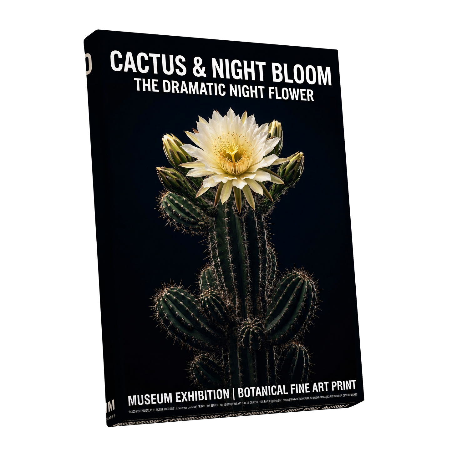 Midnight Cactus Bloom, black, green, white floral wall art shown as a stretched canvas wall art