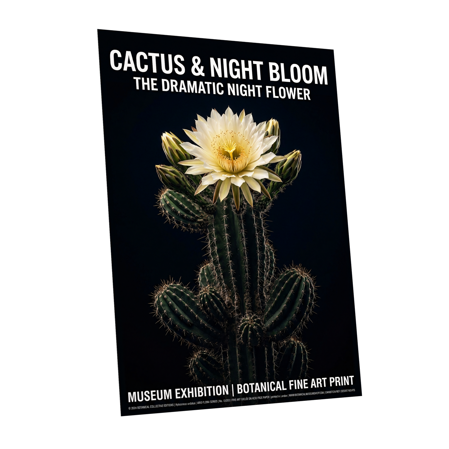 Midnight Cactus Bloom, black, green, white floral wall art shown as a unframed poster wall art print