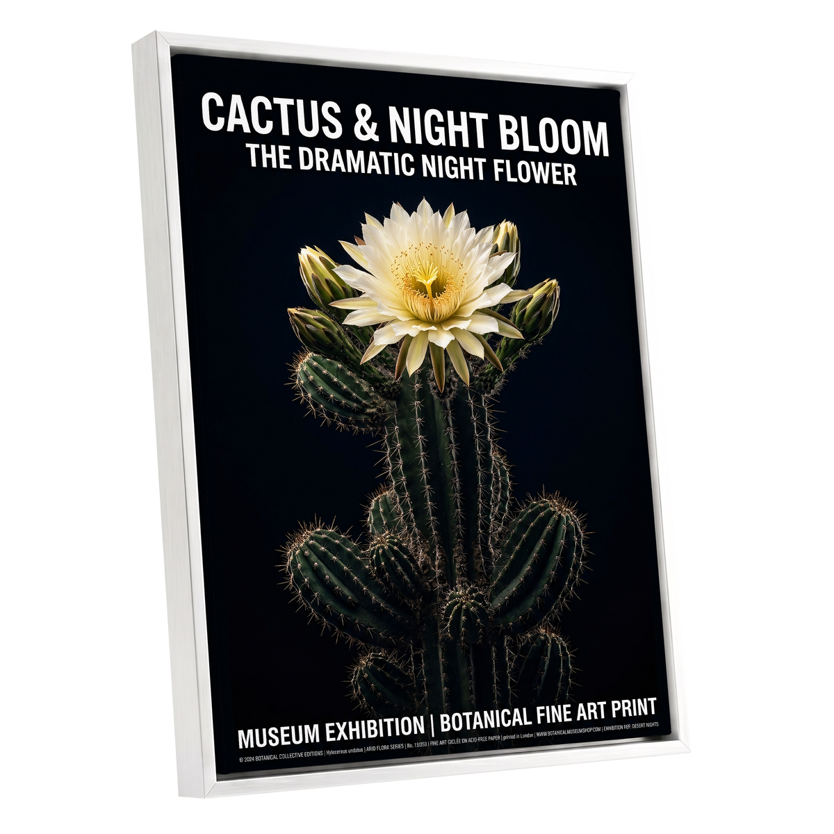Midnight Cactus Bloom, black, green, white floral wall art shown as a white framed canvas wall art
