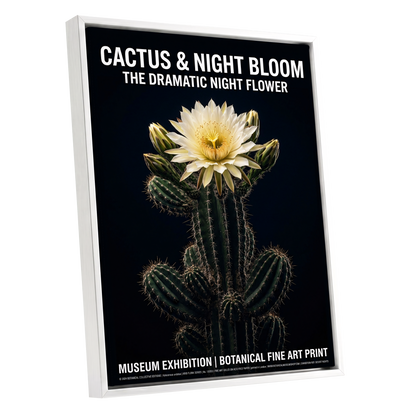 Midnight Cactus Bloom, black, green, white floral wall art shown as a white framed canvas wall art