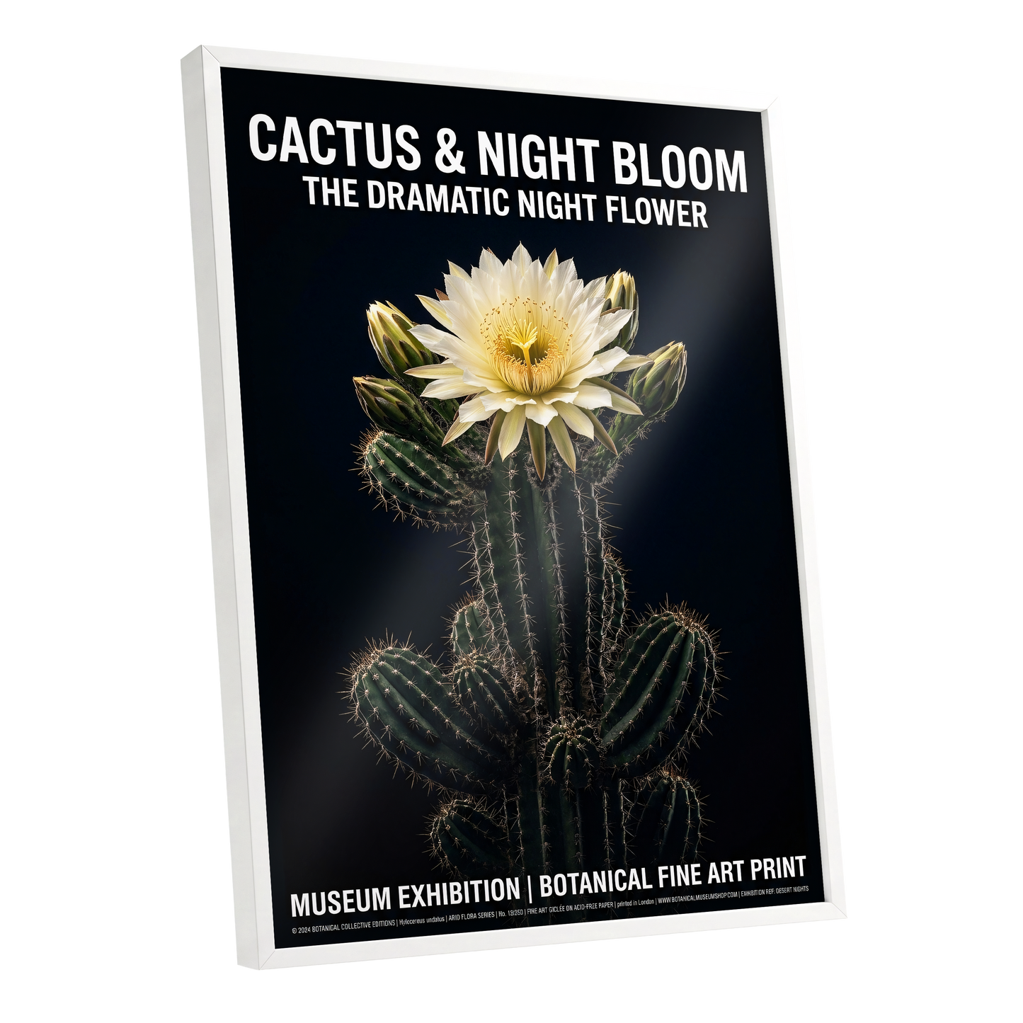 Midnight Cactus Bloom, black, green, white floral wall art shown as a white framed poster wall art print