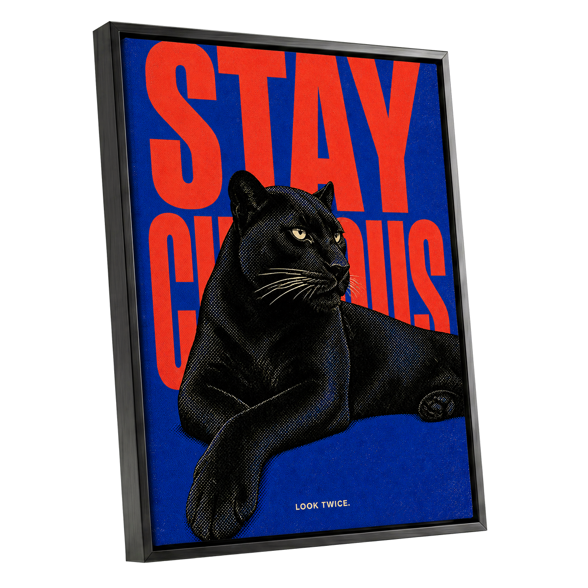 Midnight Curiosity, black, blue, orange nature wall art shown as a black framed canvas wall art
