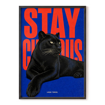 Midnight Curiosity, black, blue, orange nature wall art, front artwork view