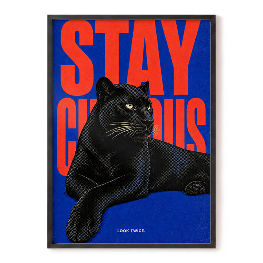 Midnight Curiosity, black, blue, orange nature wall art, front artwork view