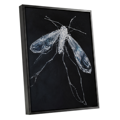 Midnight Gossamer, black, white, gray nature wall art shown as a black framed canvas wall art