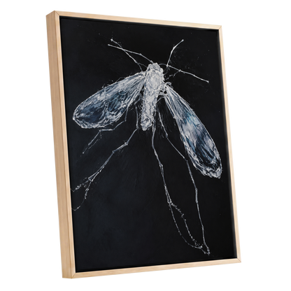Midnight Gossamer, black, white, gray nature wall art shown as a oak framed canvas wall art