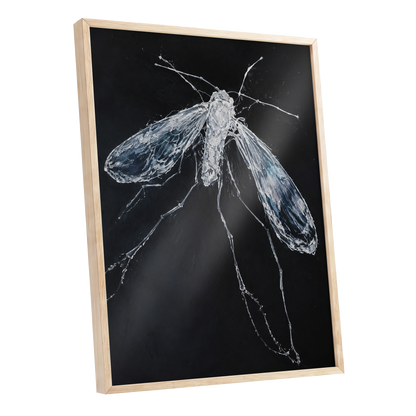Midnight Gossamer, black, white, gray nature wall art shown as a oak framed poster wall art print