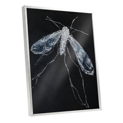Midnight Gossamer, black, white, gray nature wall art shown as a silver framed poster wall art print