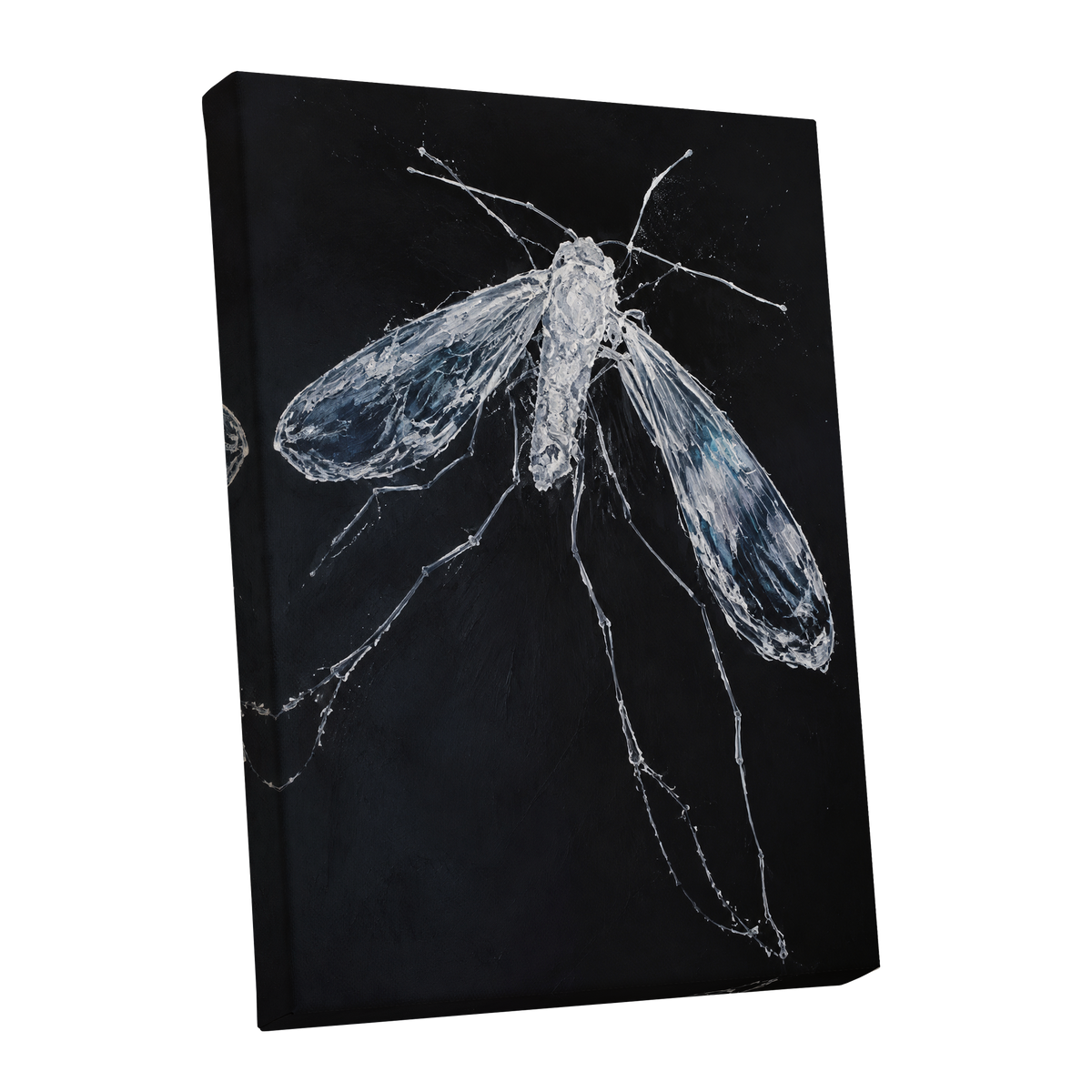 Midnight Gossamer, black, white, gray nature wall art shown as a stretched canvas wall art