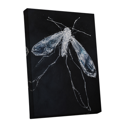 Midnight Gossamer, black, white, gray nature wall art shown as a stretched canvas wall art