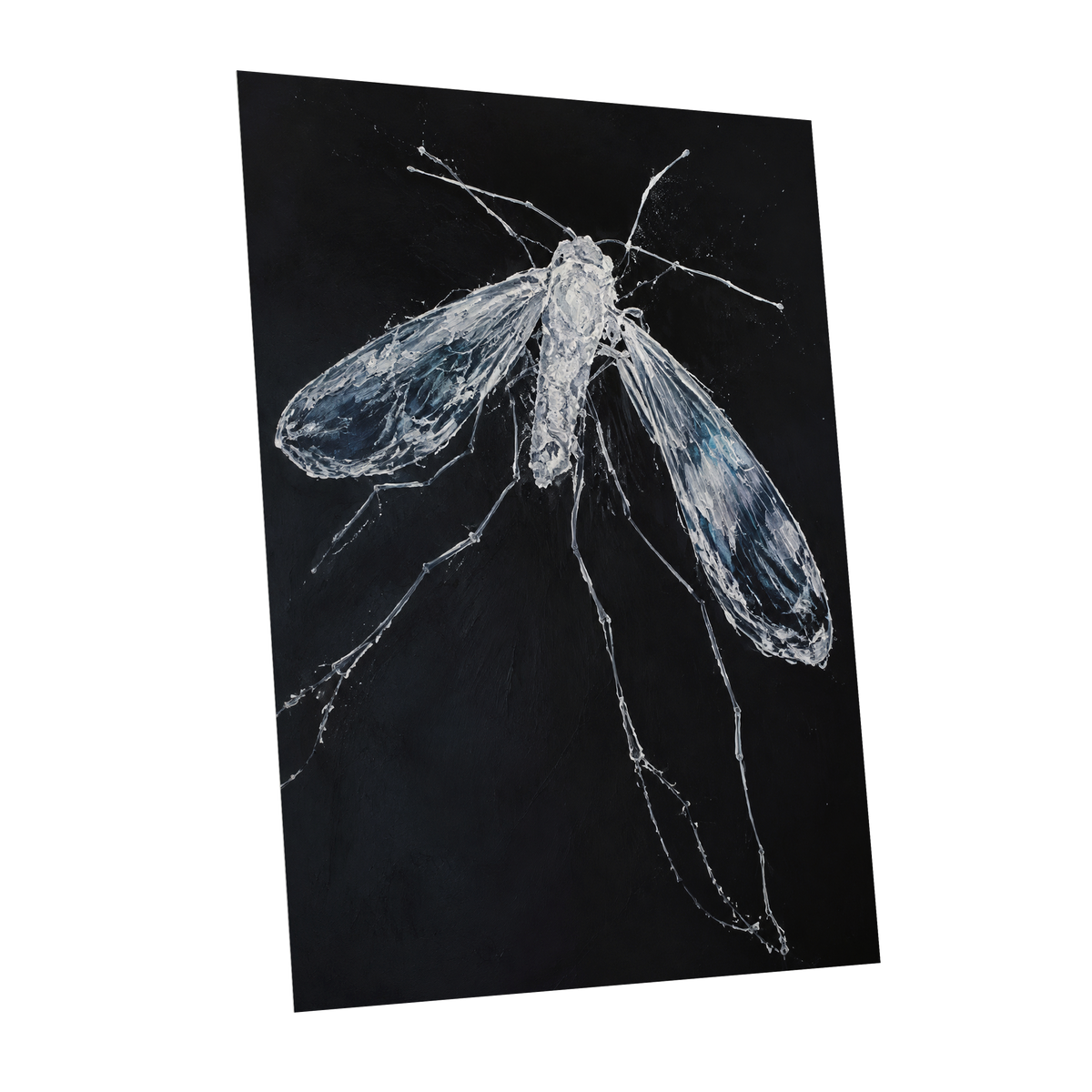 Midnight Gossamer, black, white, gray nature wall art shown as a unframed poster wall art print