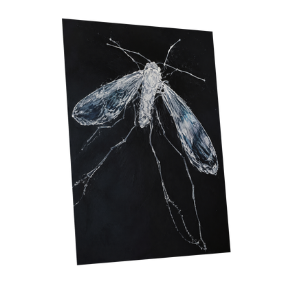 Midnight Gossamer, black, white, gray nature wall art shown as a unframed poster wall art print