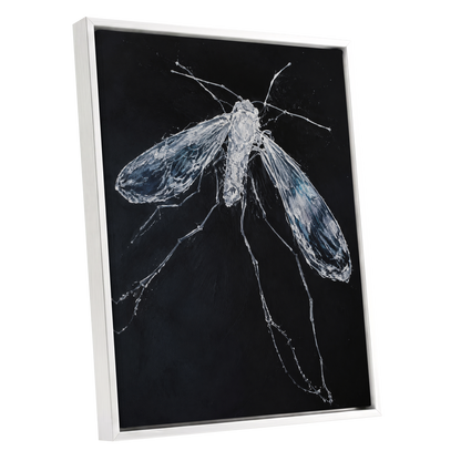 Midnight Gossamer, black, white, gray nature wall art shown as a white framed canvas wall art