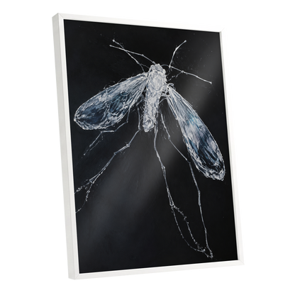 Midnight Gossamer, black, white, gray nature wall art shown as a white framed poster wall art print
