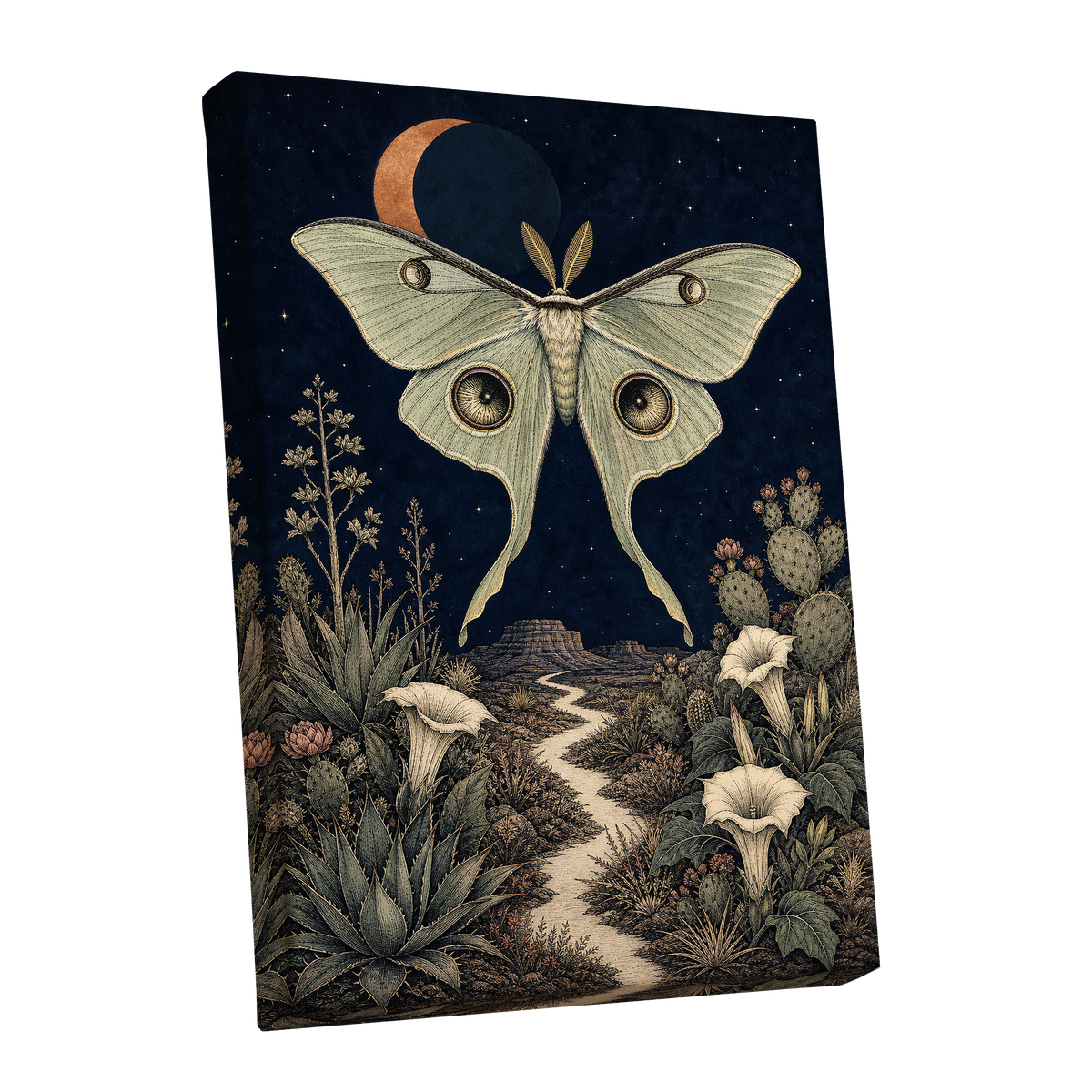 Moonlit Desert Moth, blue, green, beige nature wall art shown as a stretched canvas wall art