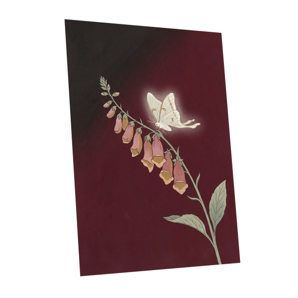 Moonlit Foxglove, black, red, pink floral wall art shown as a unframed poster wall art print