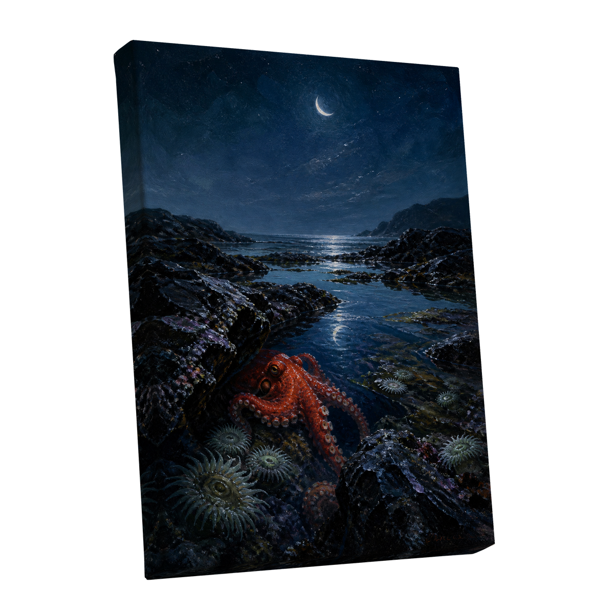 Moonlit Tidepool, blue, black, red nature wall art shown as a stretched canvas wall art
