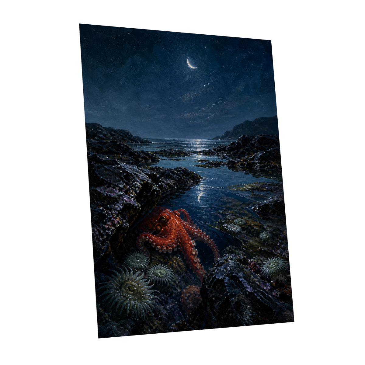 Moonlit Tidepool, blue, black, red nature wall art shown as a unframed poster wall art print