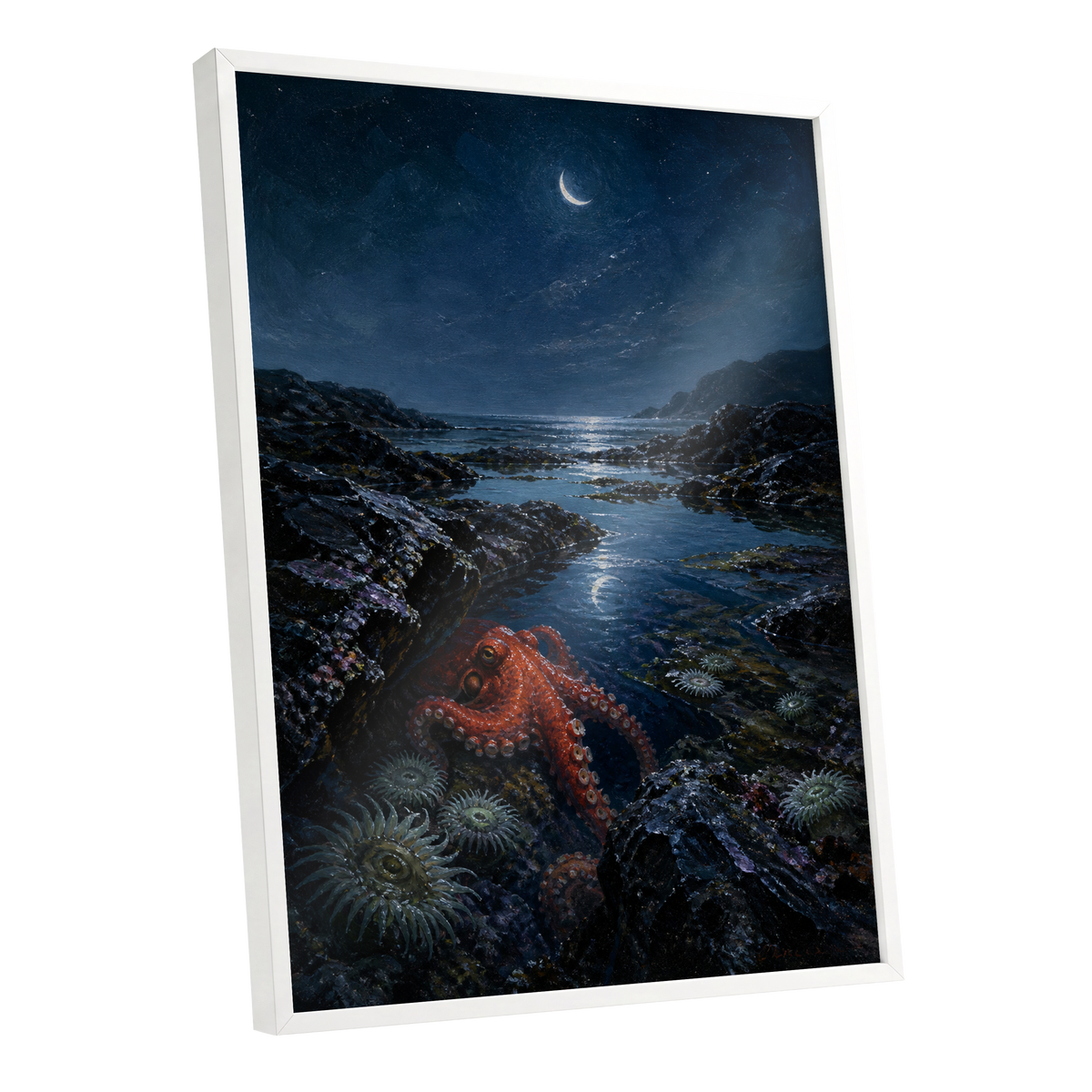 Moonlit Tidepool, blue, black, red nature wall art shown as a white framed poster wall art print