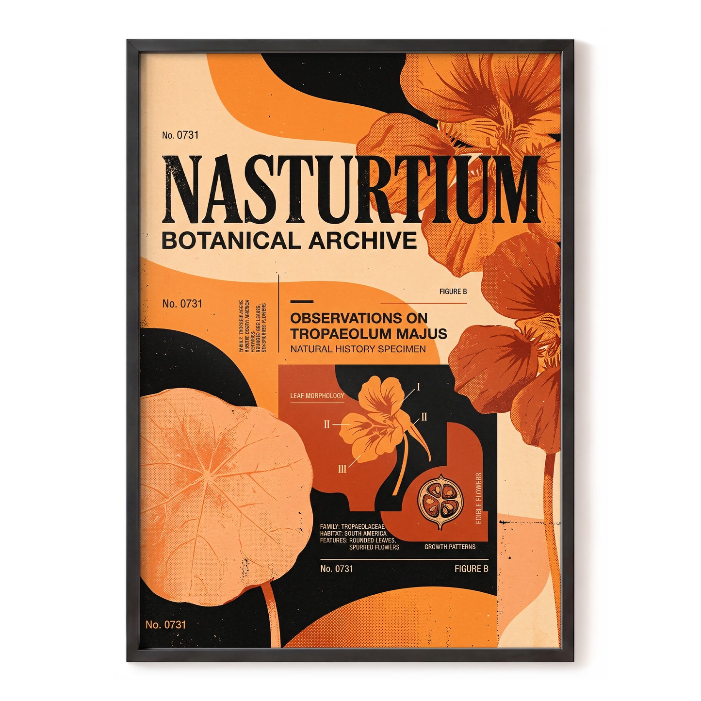 Nasturtium Archive, orange, black, beige floral wall art, front artwork view