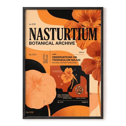 Nasturtium Archive, orange, black, beige floral wall art, front artwork view