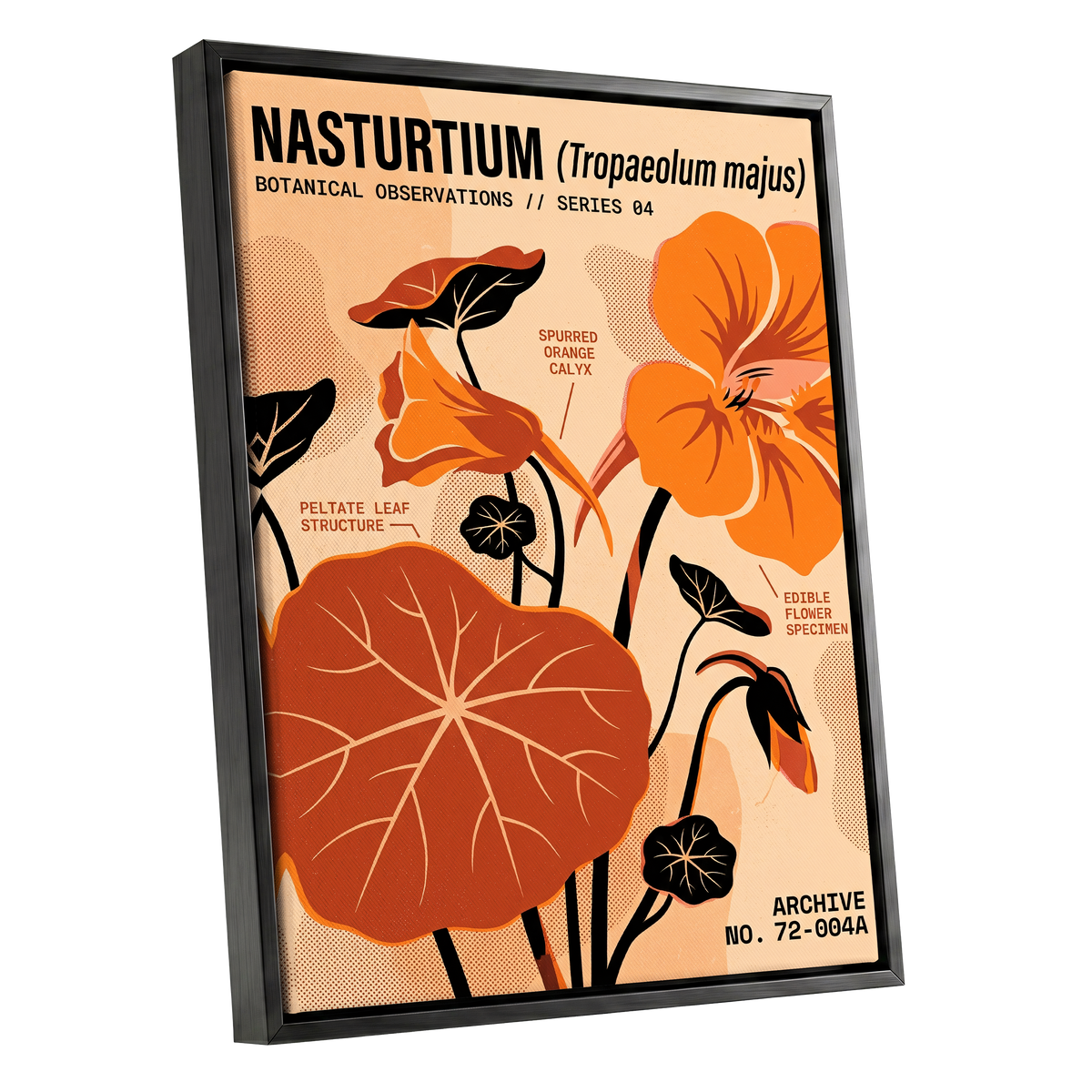 Nasturtium Field Notes, orange, beige, black floral wall art shown as a black framed canvas wall art