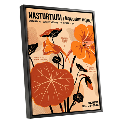 Nasturtium Field Notes, orange, beige, black floral wall art shown as a black framed canvas wall art