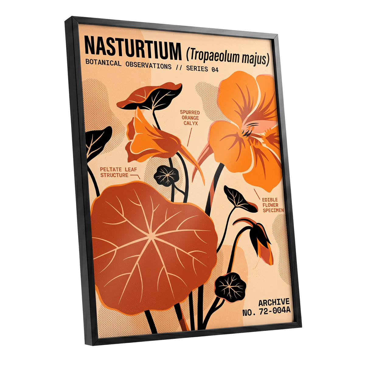 Nasturtium Field Notes, orange, beige, black floral wall art shown as a black framed poster wall art print