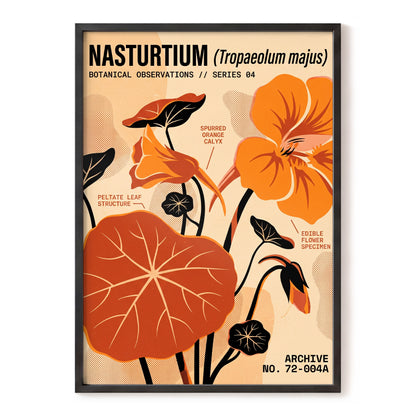 Nasturtium Field Notes, orange, beige, black floral wall art, front artwork view