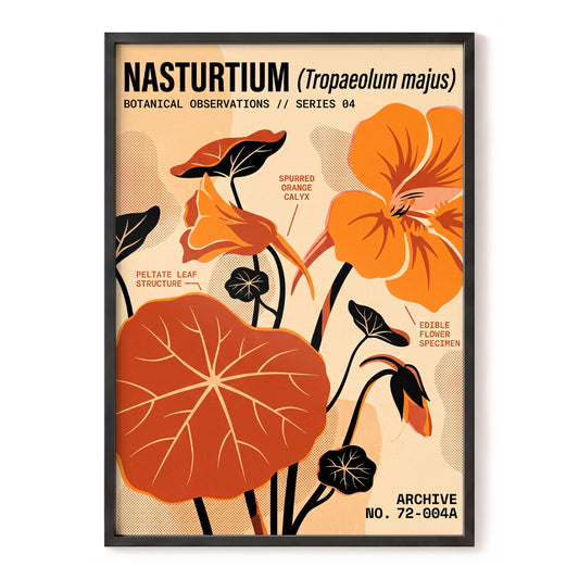 Nasturtium Field Notes, orange, beige, black floral wall art, front artwork view