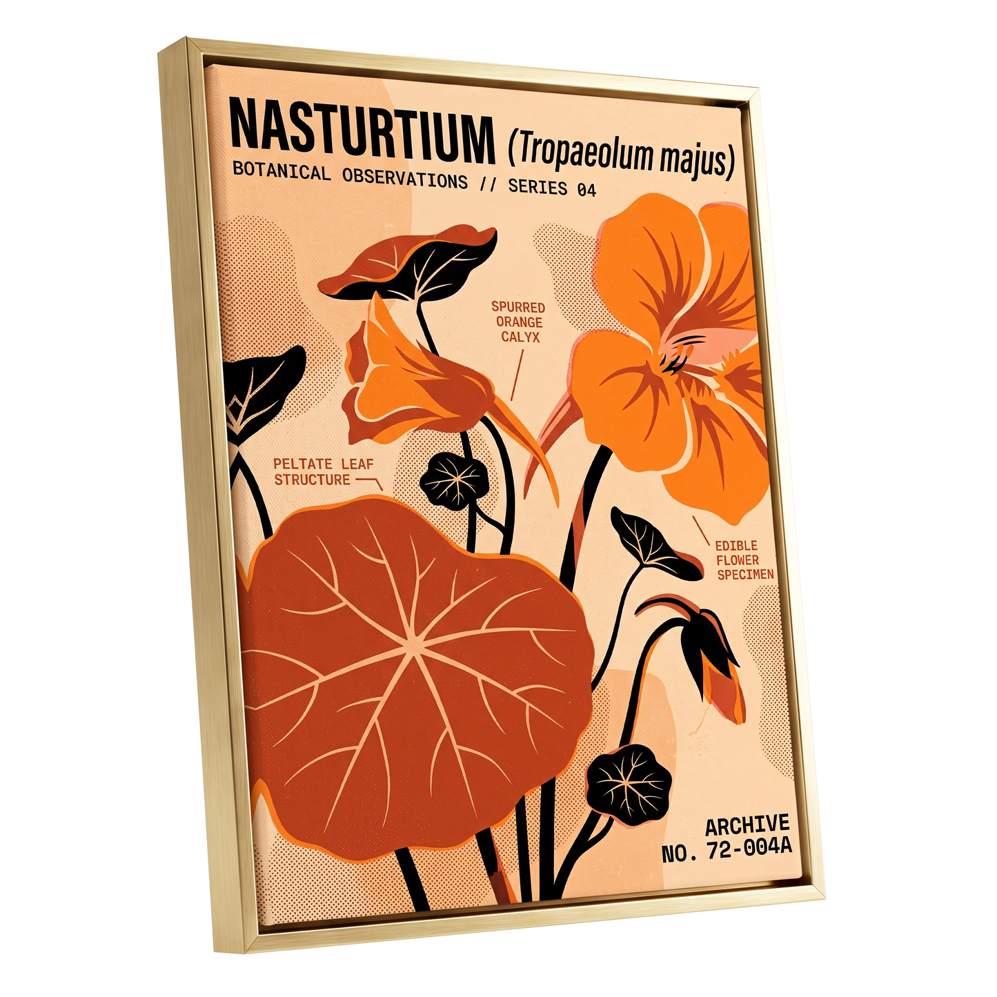 Nasturtium Field Notes, orange, beige, black floral wall art shown as a gold framed canvas wall art