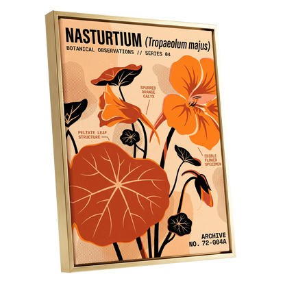 Nasturtium Field Notes, orange, beige, black floral wall art shown as a gold framed canvas wall art