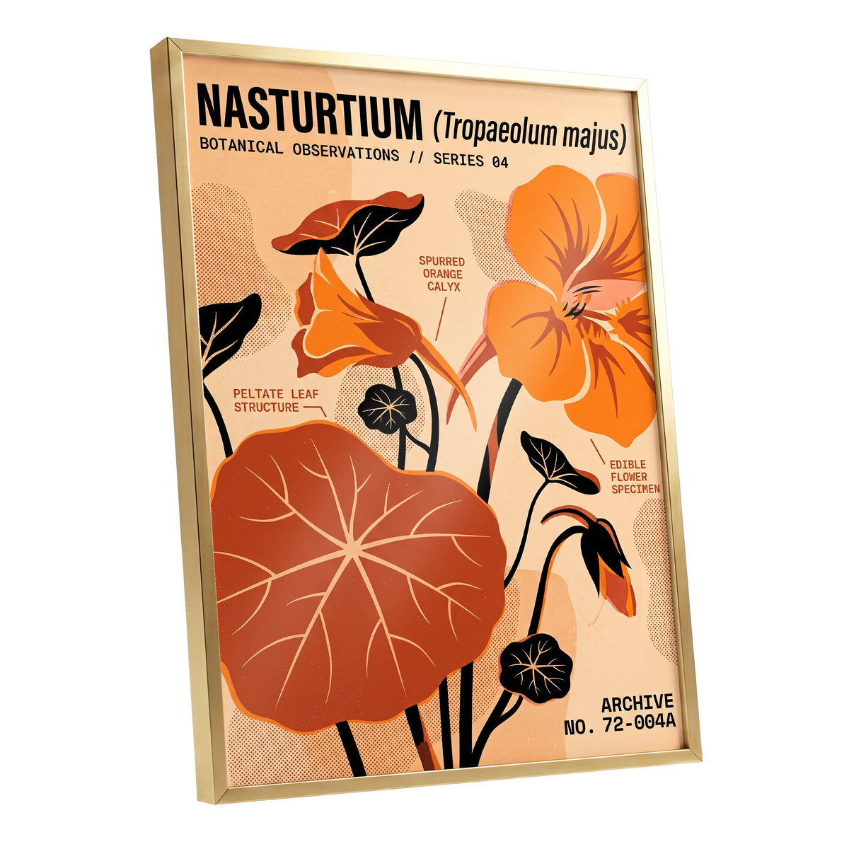 Nasturtium Field Notes, orange, beige, black floral wall art shown as a gold framed poster wall art print