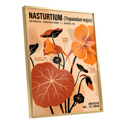 Nasturtium Field Notes, orange, beige, black floral wall art shown as a gold framed poster wall art print