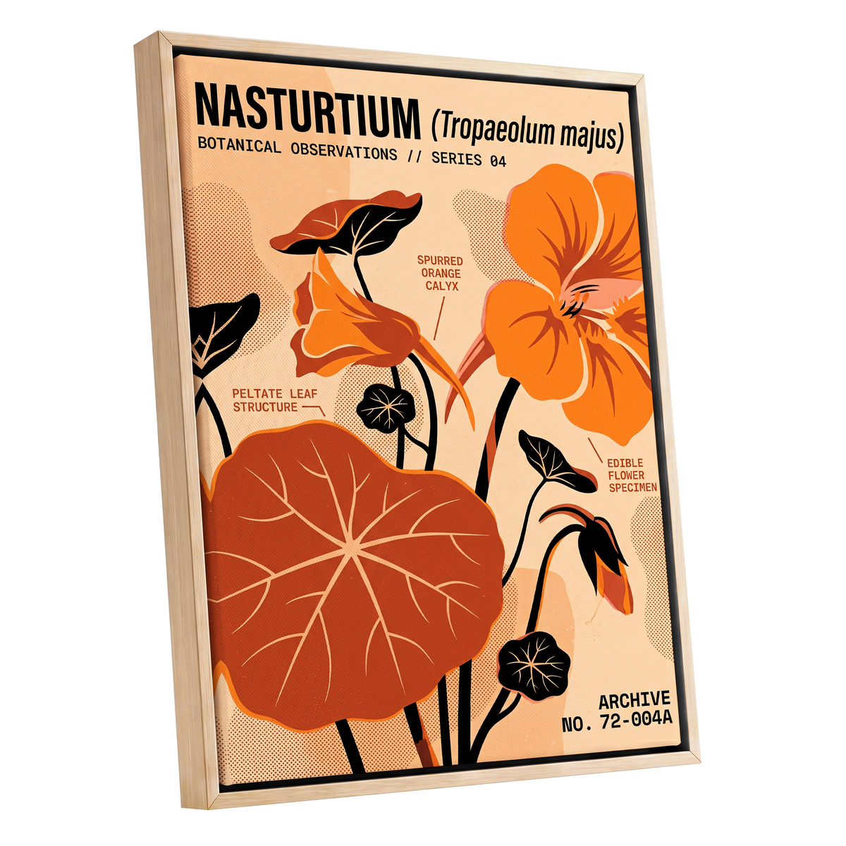 Nasturtium Field Notes, orange, beige, black floral wall art shown as a oak framed canvas wall art