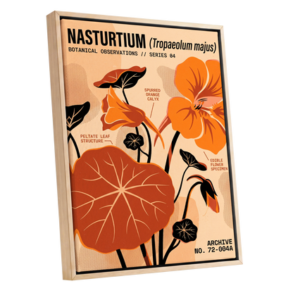 Nasturtium Field Notes, orange, beige, black floral wall art shown as a oak framed canvas wall art