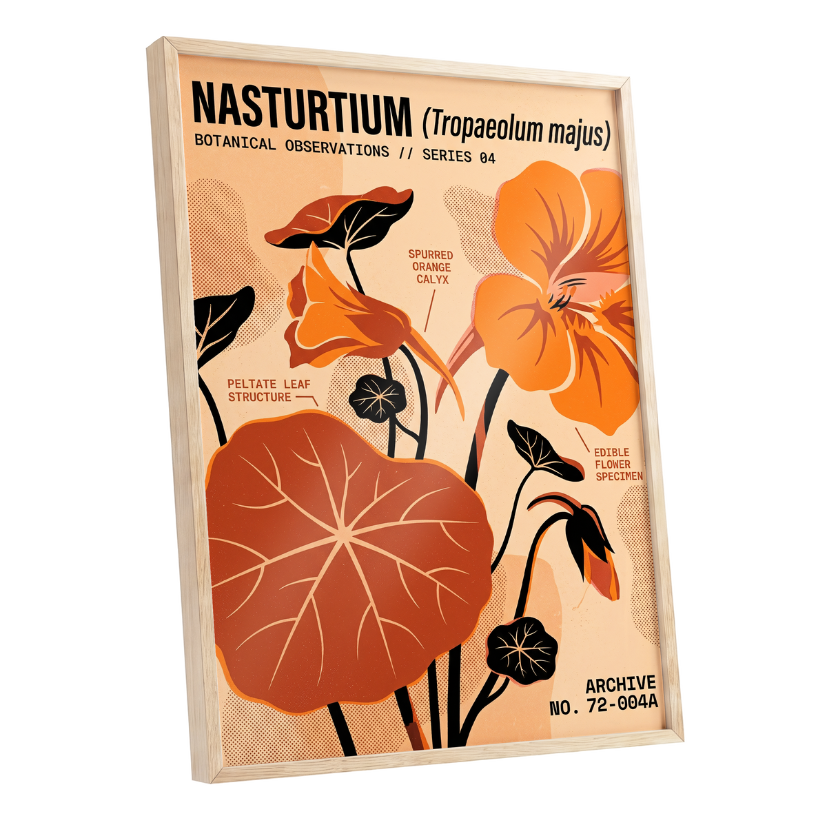 Nasturtium Field Notes, orange, beige, black floral wall art shown as a oak framed poster wall art print