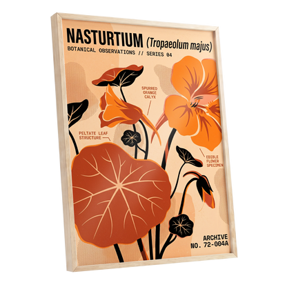 Nasturtium Field Notes, orange, beige, black floral wall art shown as a oak framed poster wall art print