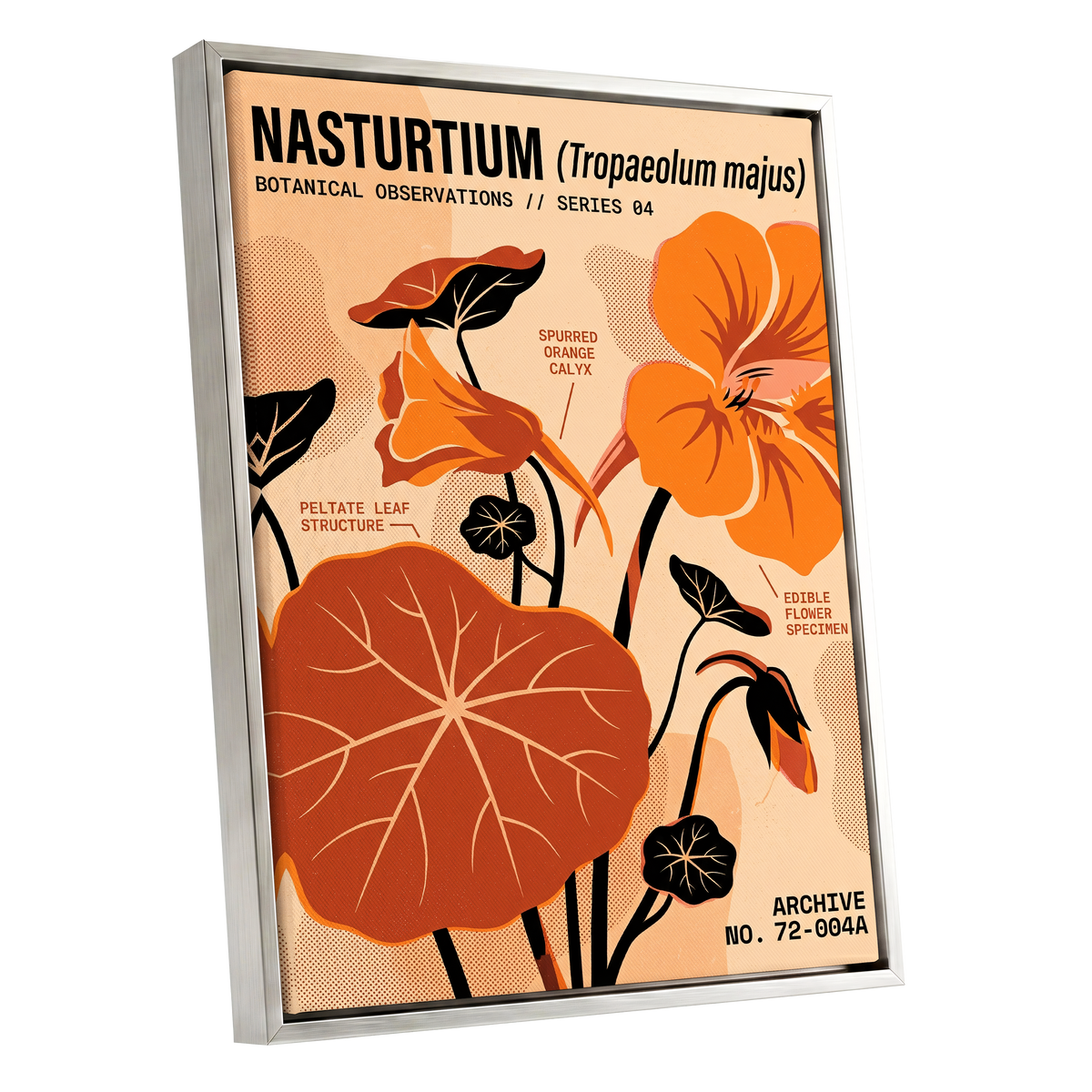 Nasturtium Field Notes, orange, beige, black floral wall art shown as a silver framed canvas wall art