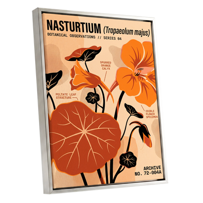 Nasturtium Field Notes, orange, beige, black floral wall art shown as a silver framed canvas wall art