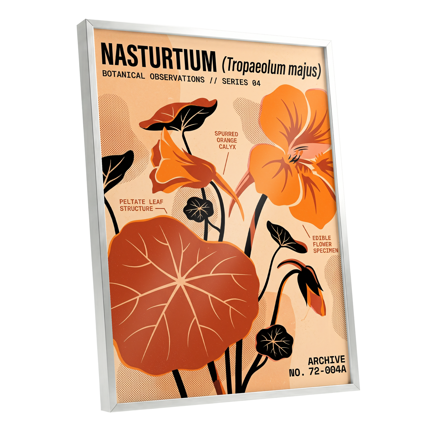 Nasturtium Field Notes, orange, beige, black floral wall art shown as a silver framed poster wall art print
