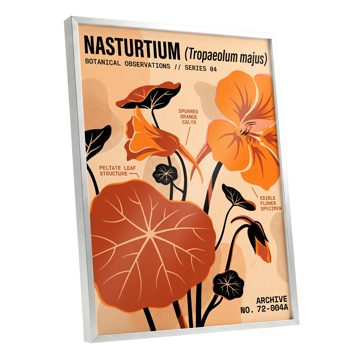 Nasturtium Field Notes, orange, beige, black floral wall art shown as a silver framed poster wall art print